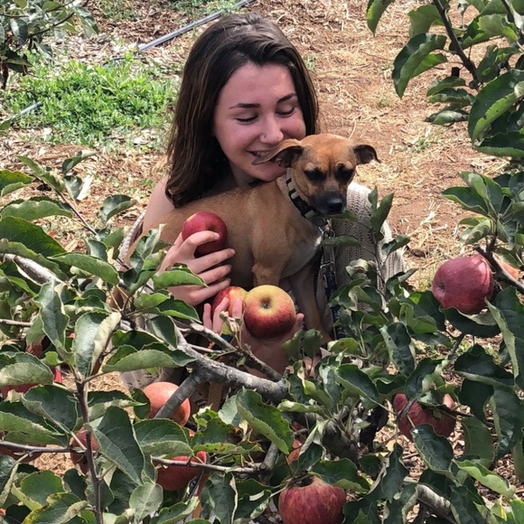 Meet your Posher - Picture 1 of 1